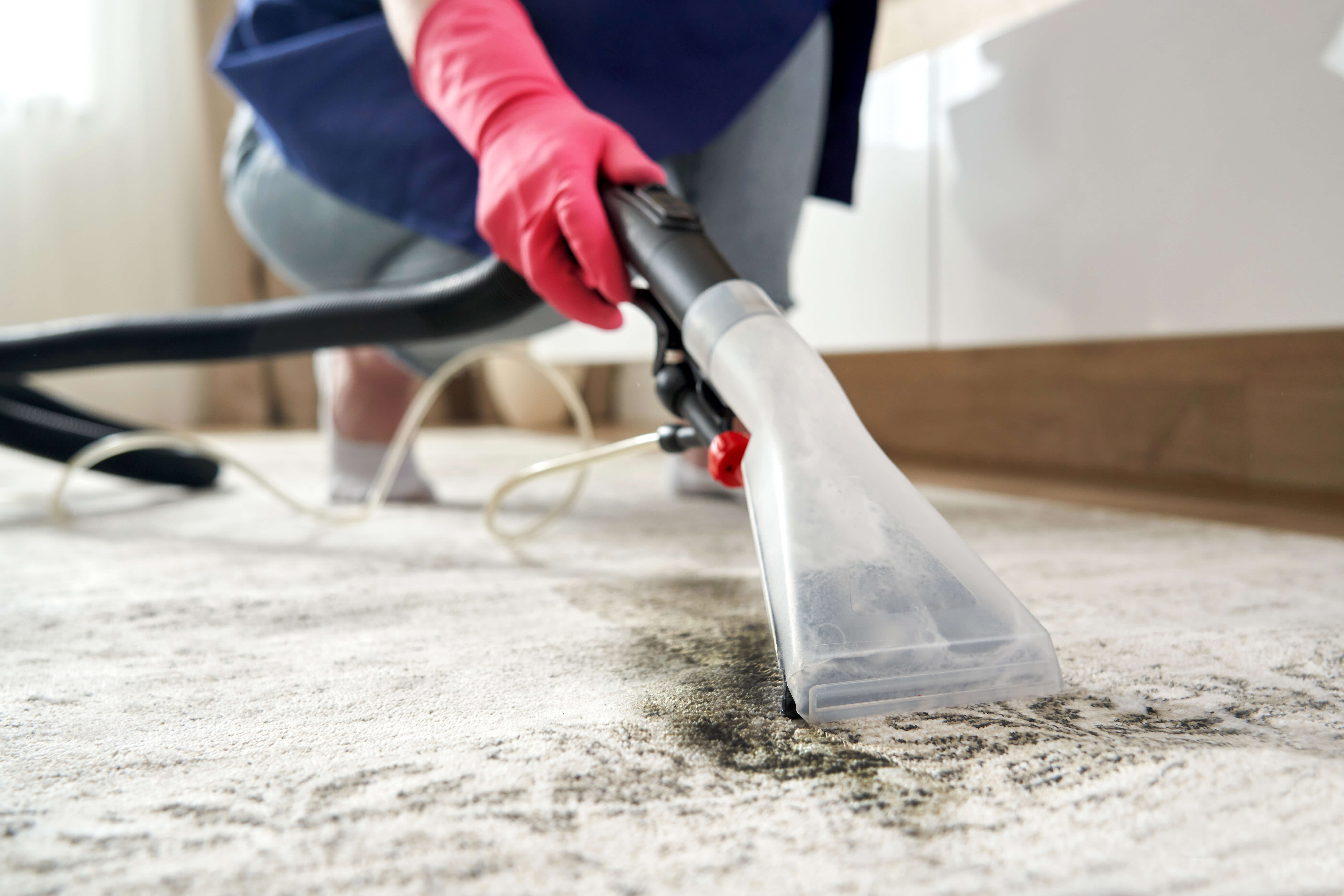 carpet-cleaning-franchise-opportunities